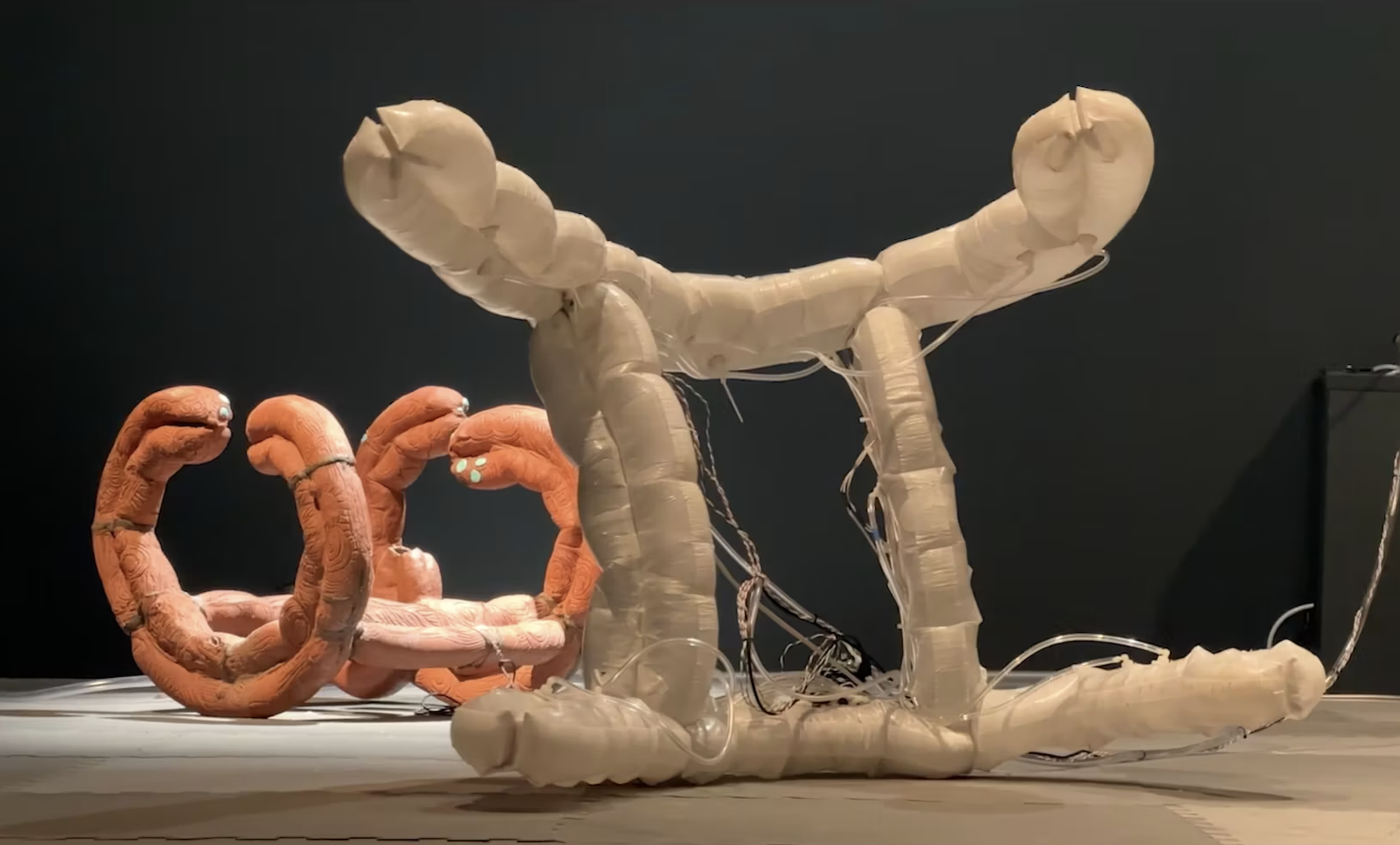 Dual Pneumas — Chico MacMurtrie